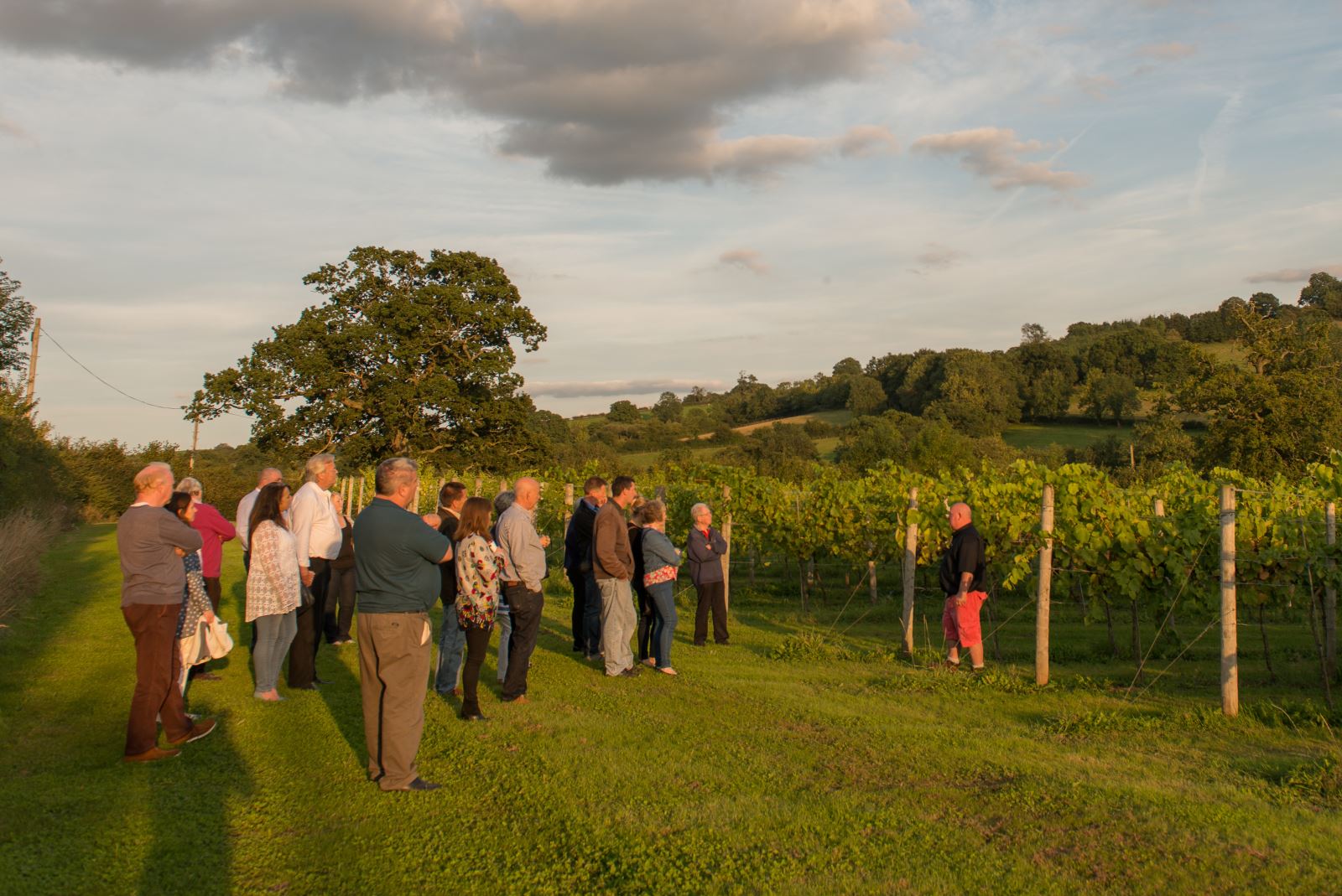 Wine Tasting at White Castle Vineyard